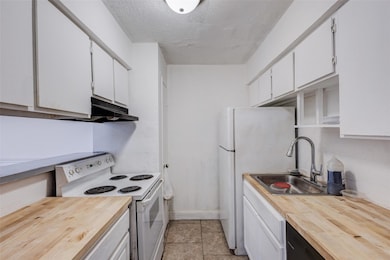 Kitchen with wooden counters, under cabinet range 