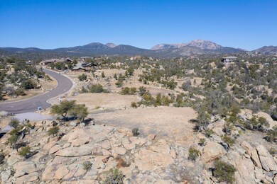 001_An Aerial View