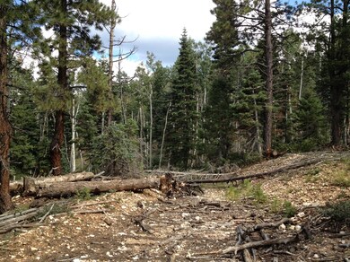 805 & 815 W Shale Cir unit ZVME E 138 & 139, Duck Creek Village, UT 84762 - photo 7