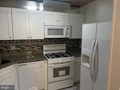 3130 Brinkley Rd unit 9301, Temple Hills, MD 20748 - photo 5