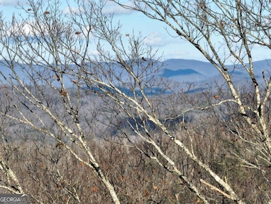 281 Andes Ridge, Ellijay, GA 30536 - photo 7