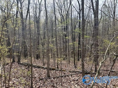 39 Fort Bluff Rd, Eva, AL 35621 - photo 2