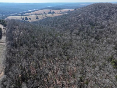dji_fly_20241219_121522_0049_17346334329