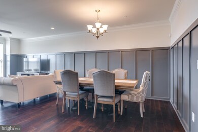 23556 Buckland Farm Terrace, Ashburn, VA 20148 - photo 4