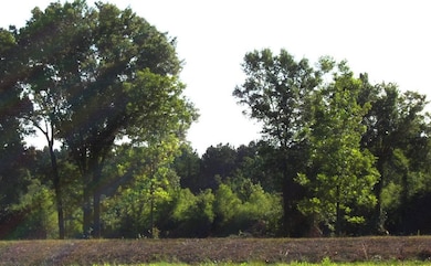 682 U S Highway 71, Ashdown, AR 71822 - photo 6