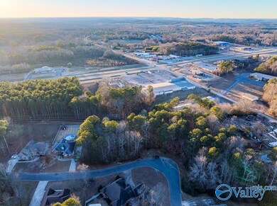 Lots 6 and 7 Lea Christine Cir NE, Arab, AL 35016 - photo 5