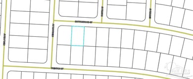 0 Buttonwood Ln unit 658215, Chipley, FL 32428 - photo 2