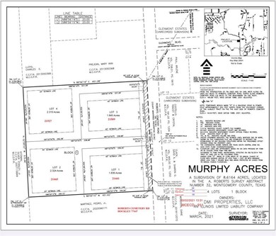 21441 Roberts Cemetery Rd, Hockley, TX 77377 - photo 3