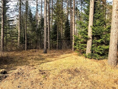 Lots1&19 Whitetailed Deer Dr, Tomahawk, WI 54487 - photo 7
