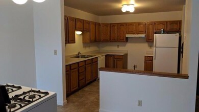 11538 W 134th Ct, Cedar Lake, IN 46303 - photo 2