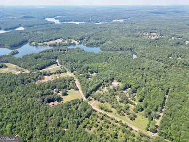 584 Moccasin Gap Rd, Jackson, GA 30233 - photo 6