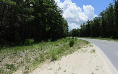 LOT 9 Seameadows Dr, Perry, FL 32348 - photo 2