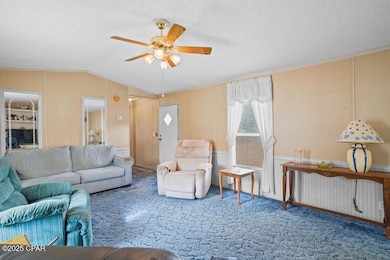 1090 Joy Meadows Cir, Bonifay, FL 32425 - photo 5