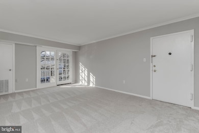 5937 Quantrell Ave unit 304, Alexandria, VA 22312 - photo 6