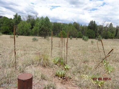 well and meadow