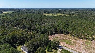 Aerial overview of property's location with a forest