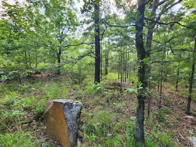 4, Wister, OK 74966 - photo 5