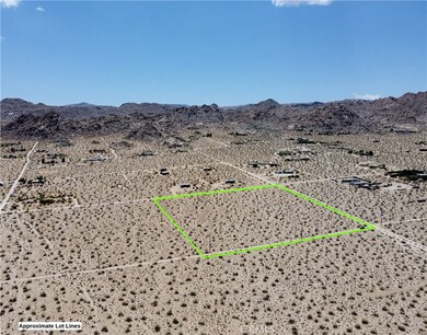 64100 Sullivan Rd, Joshua Tree, CA 92252 - photo 4