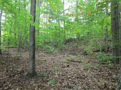 0 Colonial Rd unit 17 4886048, Laconia, NH 03246 - photo 3