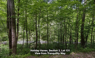 0 Tranquility Way, Smithville, TN 37166 - photo 3