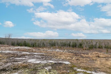 unlisted-address, Pownal, ME 04069 - photo 5