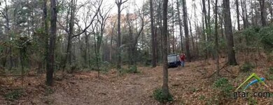 5920 Brixworth Dr, Tyler, TX 75703 - photo 2