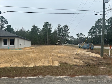 Photo of Actual Home and Homesite