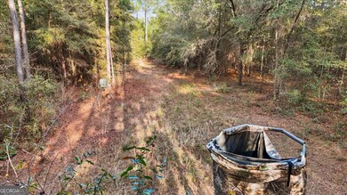 0 Massey Rd unit 10654939, Tennille, GA 31089 - photo 5