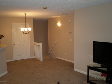 8482 Grand Trevi Dr unit 3001, Louisville, KY 40228 - photo 4