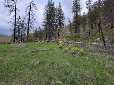 0 Black Pine Rd unit 1925745, Methow, WA 98834 - photo 4