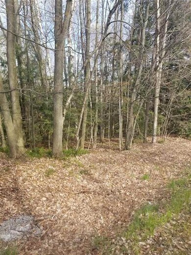 TBD Hemlock Ave, Bay Shore, MI 49720 - photo 2