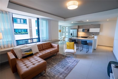 Living Room/ Kitchen Open Concept