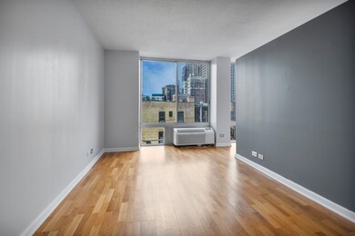 450 W Briar Place unit 4L, Chicago, IL 60657 - photo 5