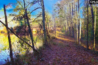 0 Whisphering Pines Rd, Ridge Spring, SC 29129 - photo 4