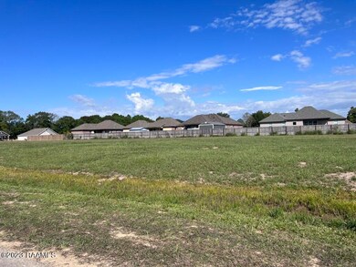 100 Doan Dr, Scott, LA 70583 - photo 3