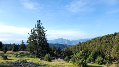 0 Wiley Creek Rd unit 2406 220202660, Mount Vernon, OR 97865 - photo 3