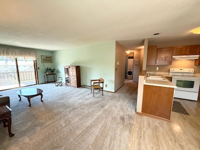 2114 Village Dr unit 221, Red Wing, MN 55066 - photo 7