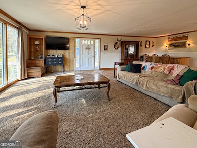 4850 New Liberty Rd, Clarkesville, GA 30523 - photo 6