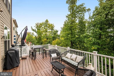 6647 Bartrams Forest Ln, Haymarket, VA 20169 - photo 6