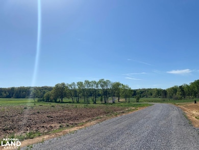 391 Co Rd 1171, Cullman, AL 35057 - photo 3