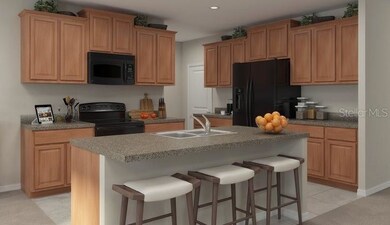 31346 Sun Kettle Loop, Wesley Chapel, FL 33545 - photo 2