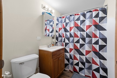 409 State St, Joliet, IL 60432 - photo 6