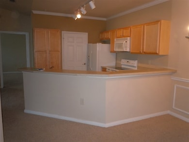 130 Old Town Pkwy, Saint Augustine, FL 32084 - photo 5