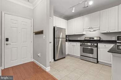 The Fitz at Rockville Town Center, Rockville, MD 20850 - photo 6