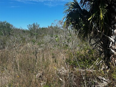 19093 NW 302nd St, Okeechobee, FL 34972 - photo 4