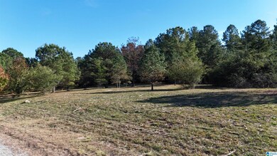 761 County Road 31, Hanceville, AL 35077 - photo 6