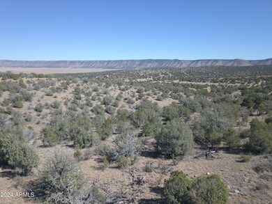 Drone View 5