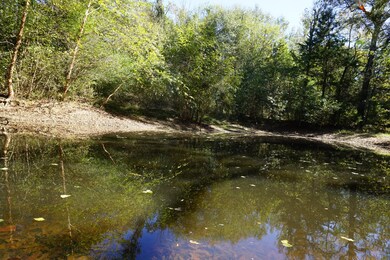 View of woods with a water view