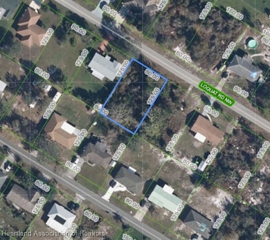 254 Loquat Rd NW, Lake Placid, FL 33852 - photo 2