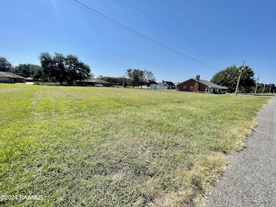 0000 Frank Castille Rd, Breaux Bridge, LA 70517 - photo 6